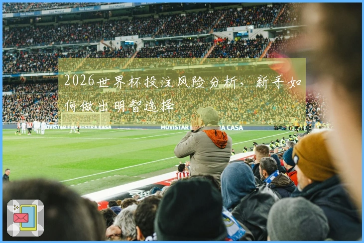 2026世界杯投注风险分析，新手如何做出明智选择