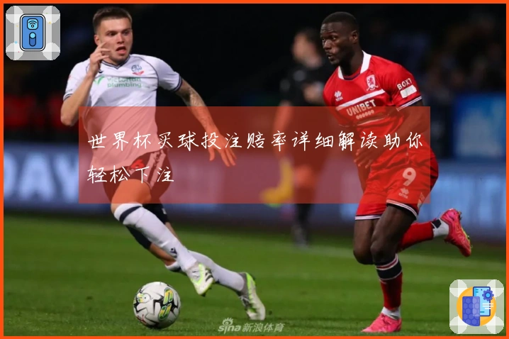 世界杯买球投注赔率详细解读助你轻松下注