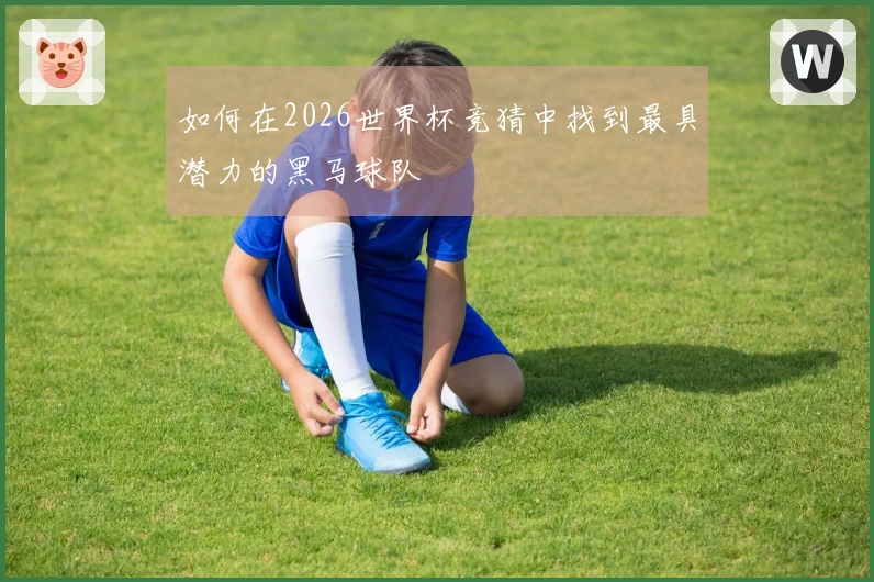 如何在2026世界杯竞猜中找到最具潜力的黑马球队
