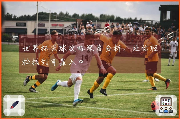 世界杯买球攻略深度分析，让你轻松找到可靠入口