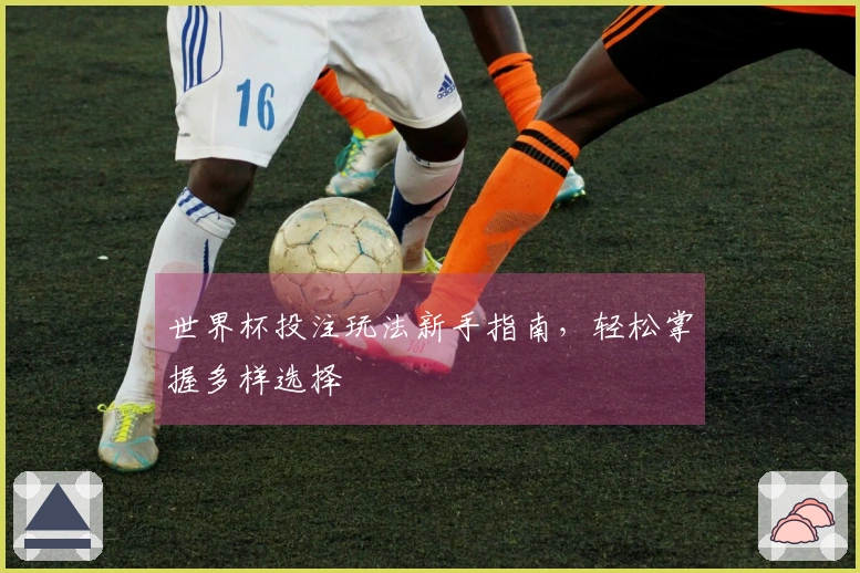 世界杯投注玩法新手指南，轻松掌握多样选择