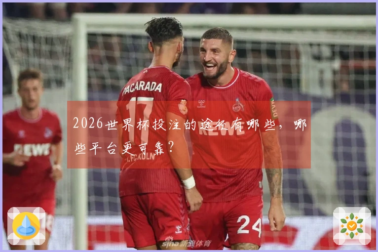 2026世界杯投注的途径有哪些，哪些平台更可靠？