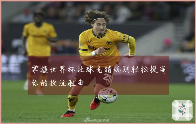 掌握世界杯让球竞猜规则轻松提高你的投注胜率