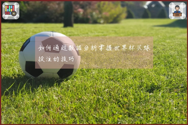 如何通过数据分析掌握世界杯买球投注的技巧
