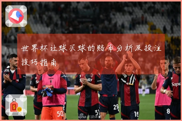 世界杯让球买球的赔率分析及投注技巧指南