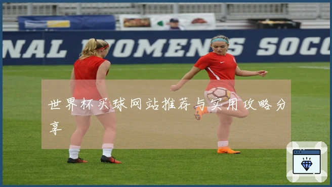 世界杯买球网站推荐与实用攻略分享
