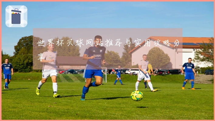世界杯买球网站推荐与实用攻略分享