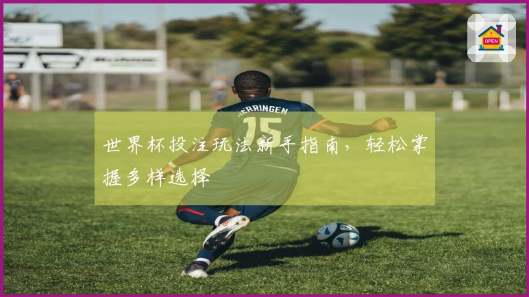 世界杯投注玩法新手指南，轻松掌握多样选择
