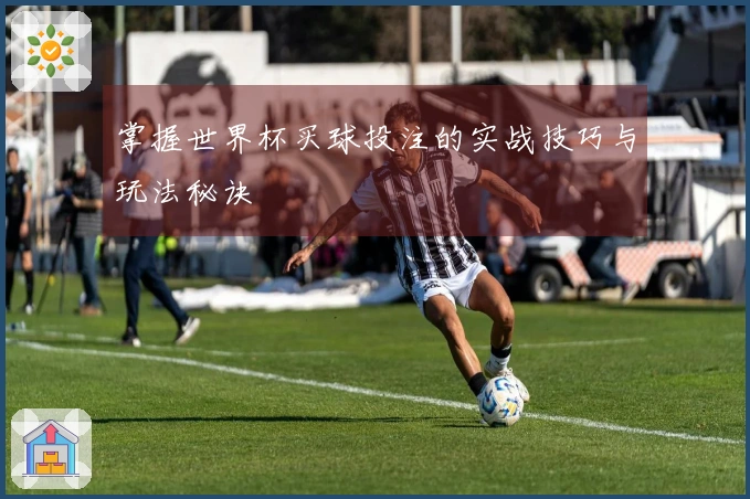 掌握世界杯买球投注的实战技巧与玩法秘诀