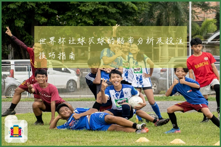 世界杯让球买球的赔率分析及投注技巧指南