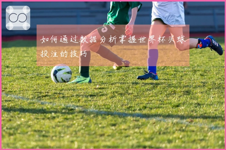 如何通过数据分析掌握世界杯买球投注的技巧
