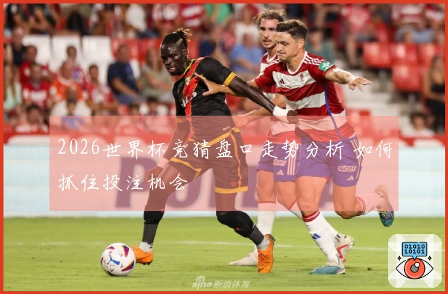 2026世界杯竞猜盘口走势分析 如何抓住投注机会