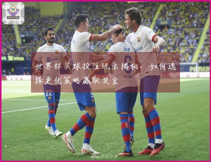世界杯买球投注玩法揭秘，如何选择更优策略赢取奖金
