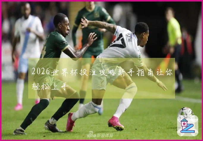 2026世界杯投注攻略新手指南让你轻松上手