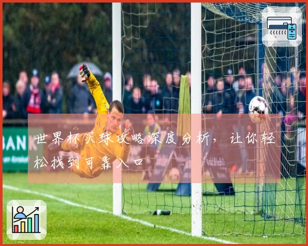 世界杯买球攻略深度分析，让你轻松找到可靠入口